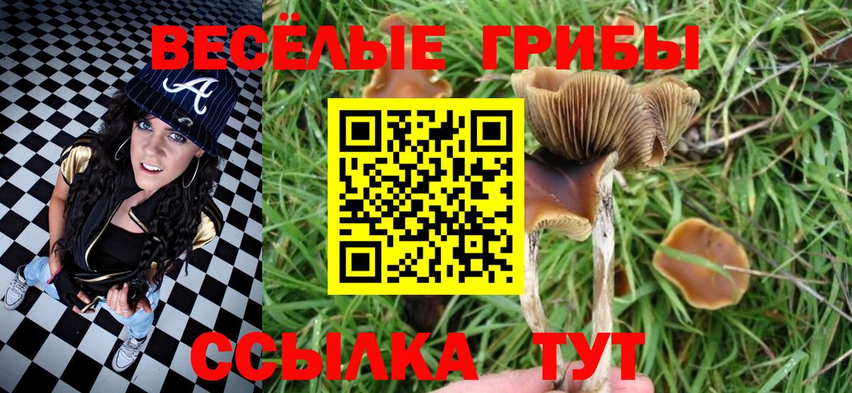Псилоцибиновые грибы GOLDEN TEACHER  Псилоцибиновые грибы мухоморы  Глазов  Вход с VPN 